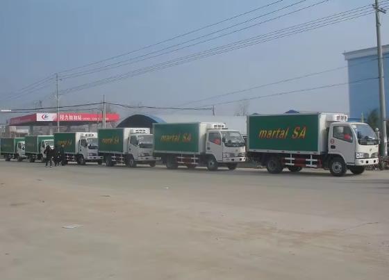 Dongfeng 4x2 3-5ton refrigerator van truck